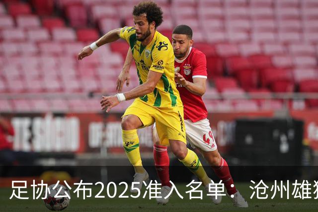 足协公布2025准入名单：沧州雄狮、广州队无缘
